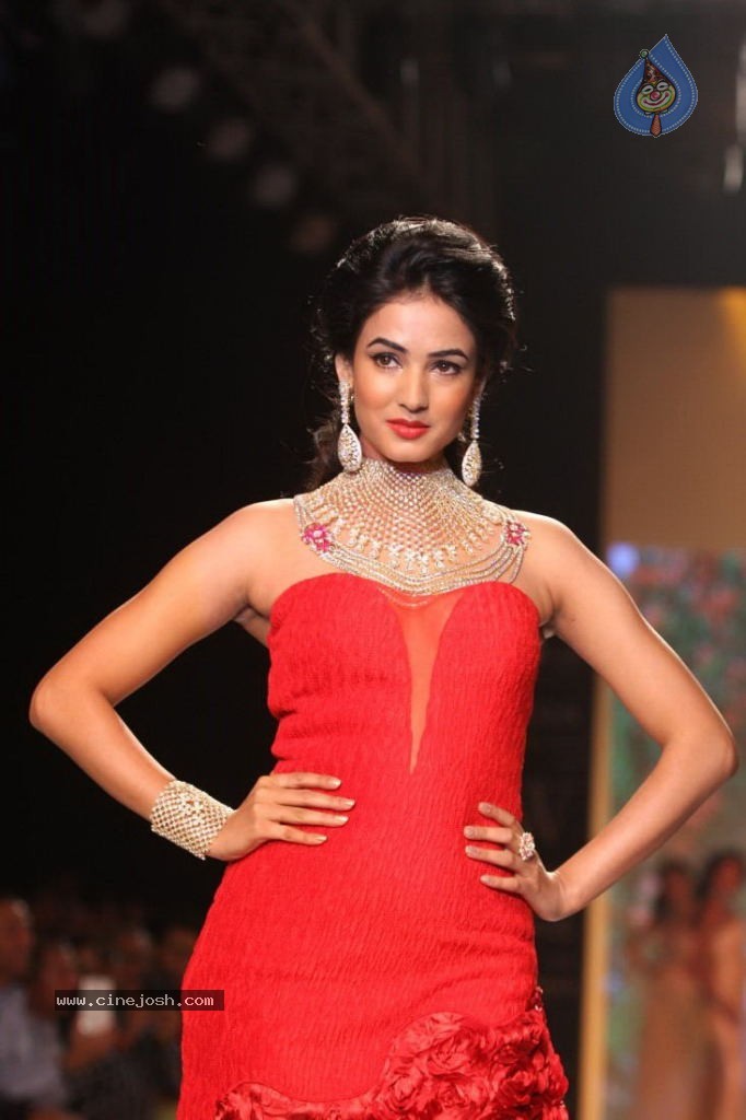 Celebs Walks the Ramp at IIJW 2013 Day 4 - 62 / 129 photos