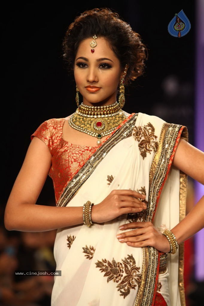 Celebs Walks the Ramp at IIJW 2013 Day 4 - 63 / 129 photos