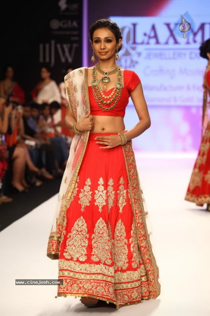 Celebs Walks the Ramp at IIJW 2013 Day 4 - 65 / 129 photos