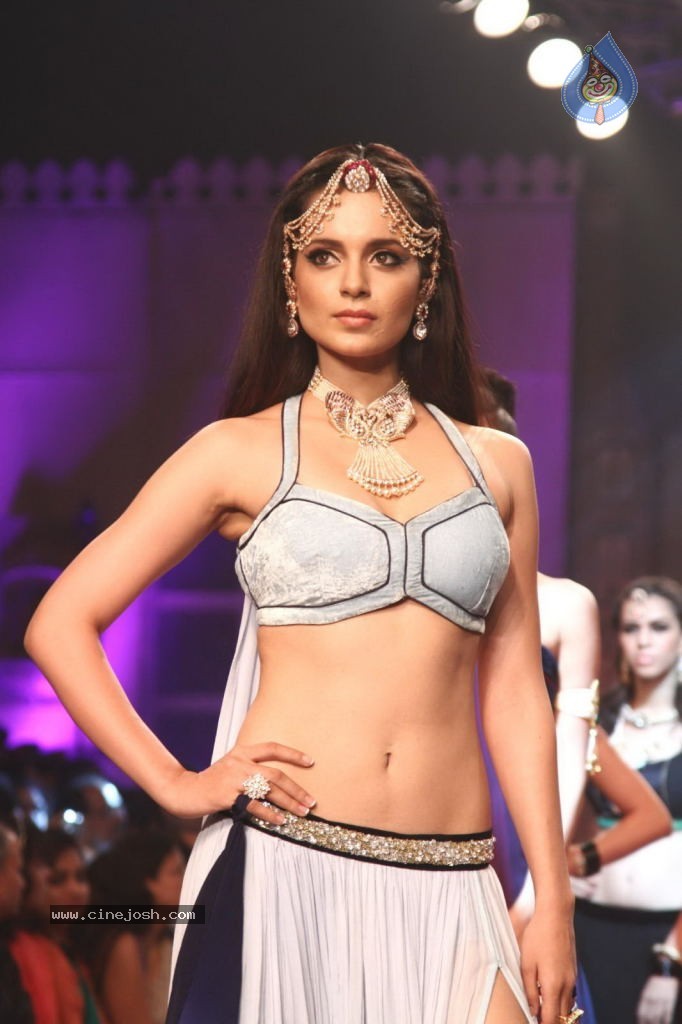 Celebs Walks the Ramp at IIJW 2013 Day 4 - 70 / 129 photos
