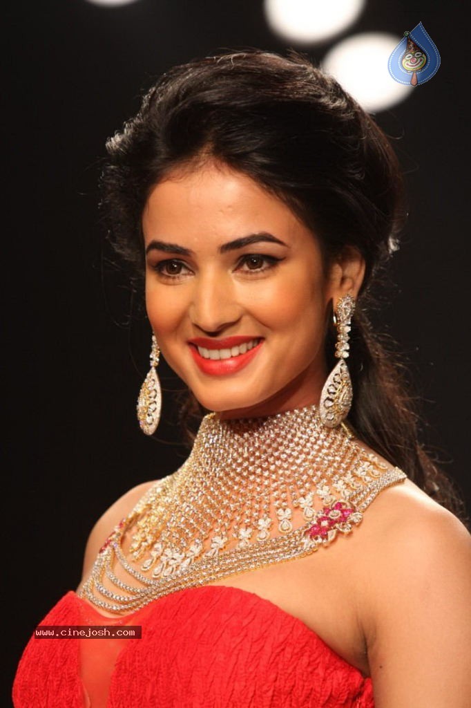 Celebs Walks the Ramp at IIJW 2013 Day 4 - 72 / 129 photos