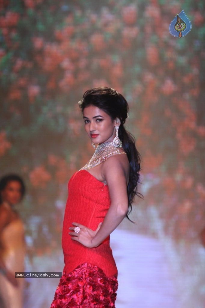 Celebs Walks the Ramp at IIJW 2013 Day 4 - 78 / 129 photos