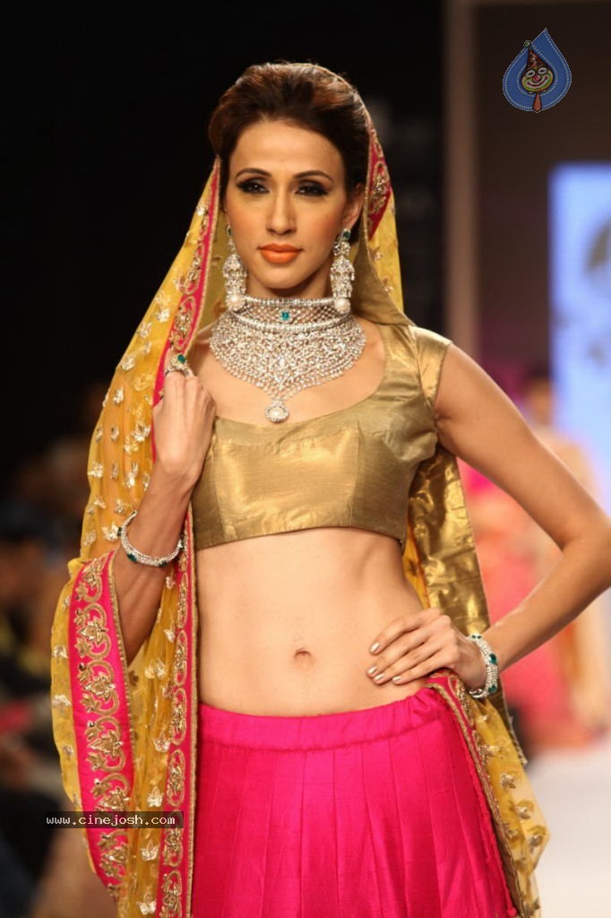 Celebs Walks the Ramp at IIJW 2013 Day 4 - 79 / 129 photos