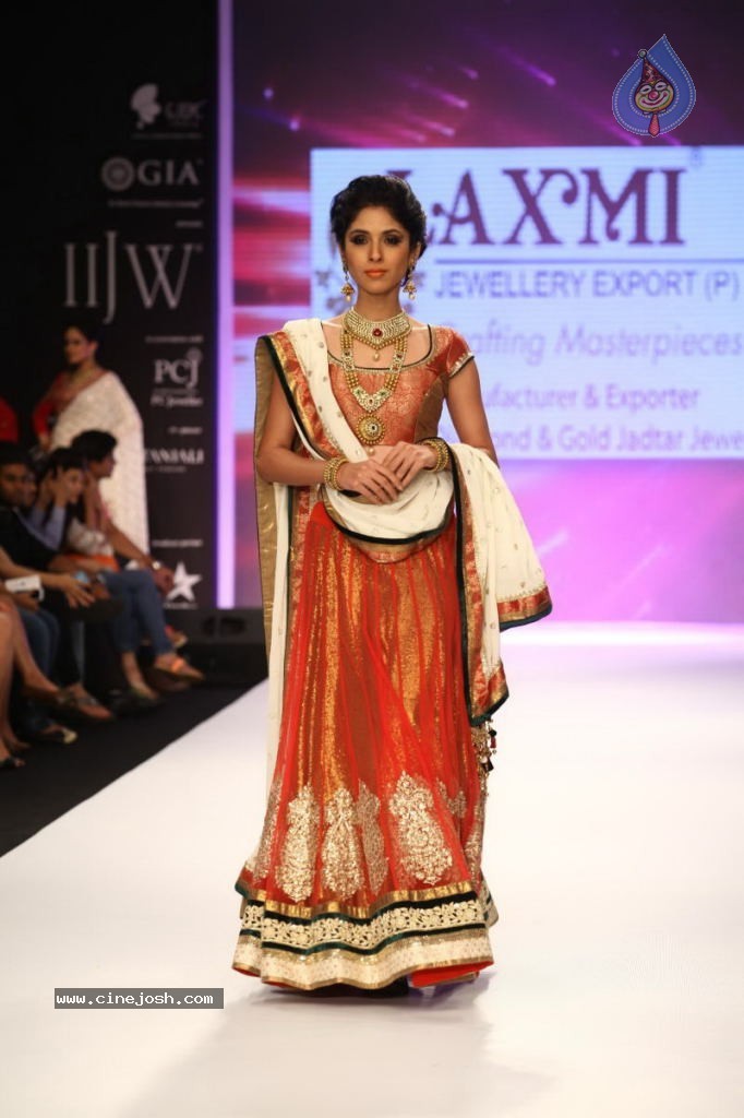 Celebs Walks the Ramp at IIJW 2013 Day 4 - 81 / 129 photos