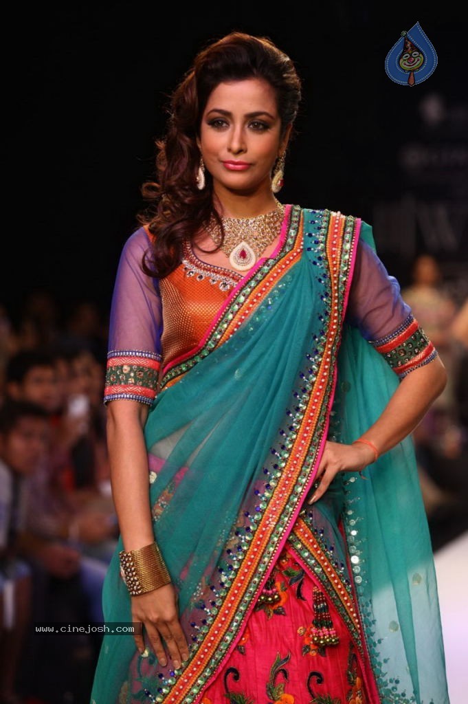 Celebs Walks the Ramp at IIJW 2013 Day 4 - 84 / 129 photos