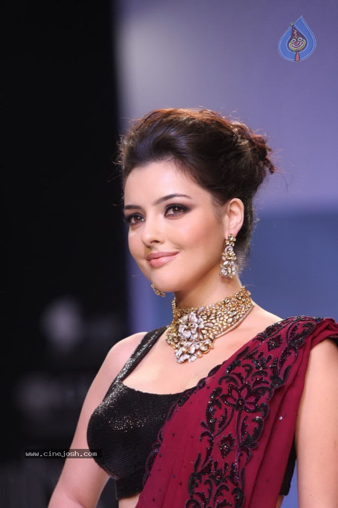 Celebs Walks the Ramp at IIJW 2013 Day 4 - 88 / 129 photos