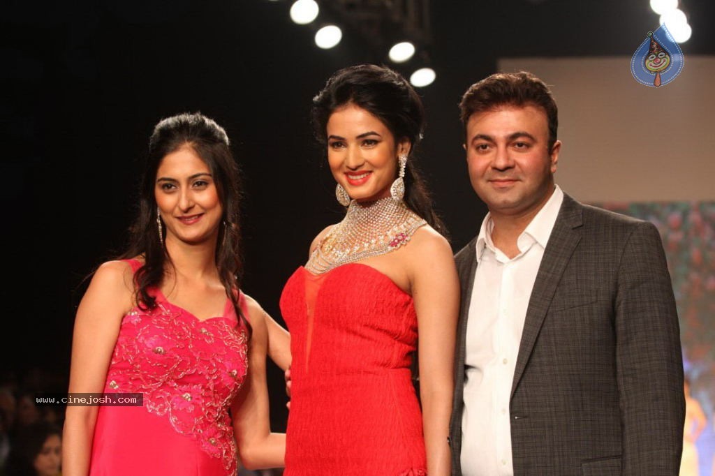 Celebs Walks the Ramp at IIJW 2013 Day 4 - 94 / 129 photos