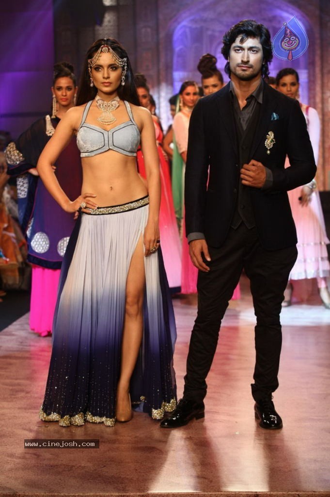 Celebs Walks the Ramp at IIJW 2013 Day 4 - 95 / 129 photos