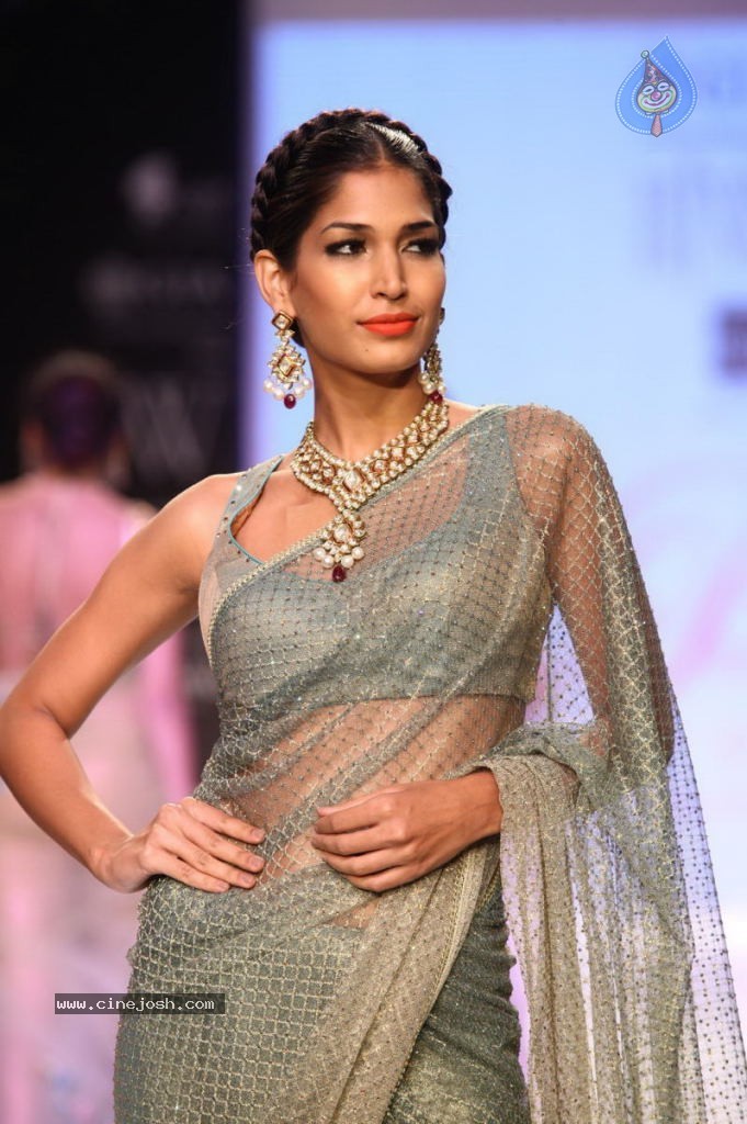 Celebs Walks the Ramp at IIJW 2013 Day 4 - 97 / 129 photos