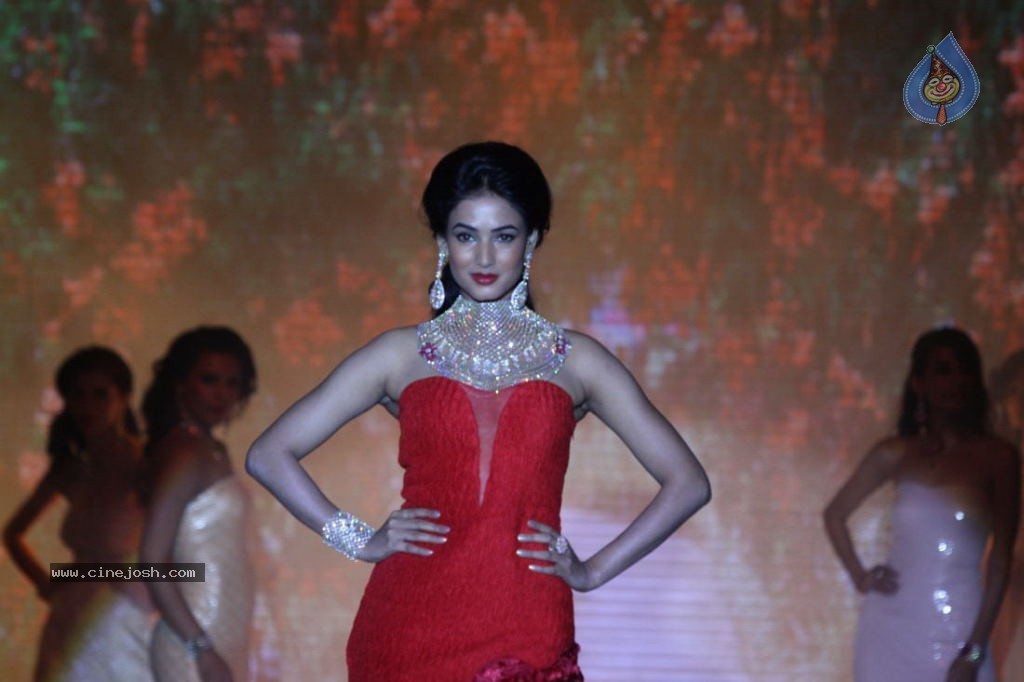 Celebs Walks the Ramp at IIJW 2013 Day 4 - 100 / 129 photos