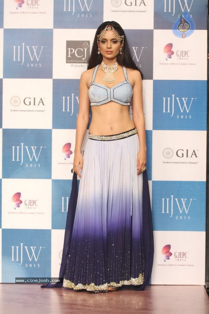 Celebs Walks the Ramp at IIJW 2013 Day 4 - 102 / 129 photos