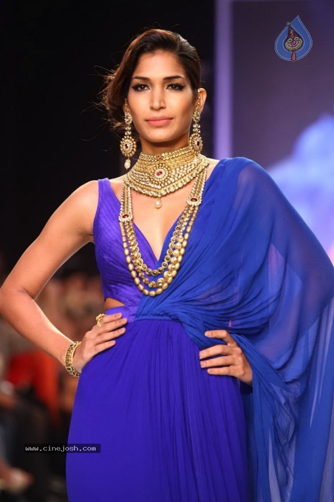 Celebs Walks the Ramp at IIJW 2013 Day 4 - 104 / 129 photos