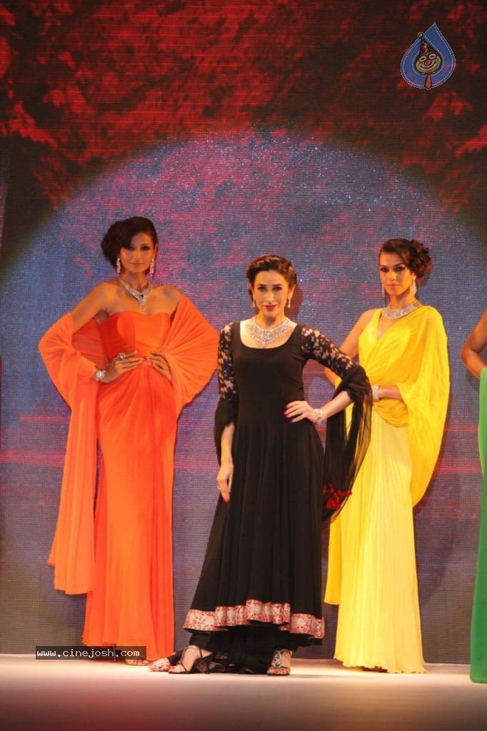 Celebs Walks the Ramp at IIJW 2013 Day 4 - 111 / 129 photos