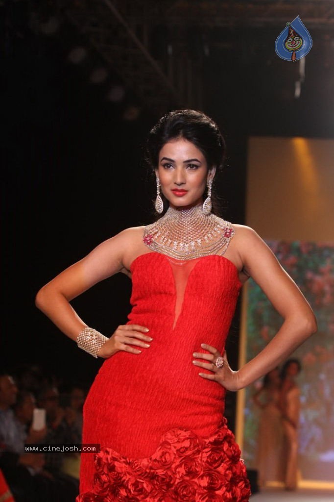 Celebs Walks the Ramp at IIJW 2013 Day 4 - 123 / 129 photos
