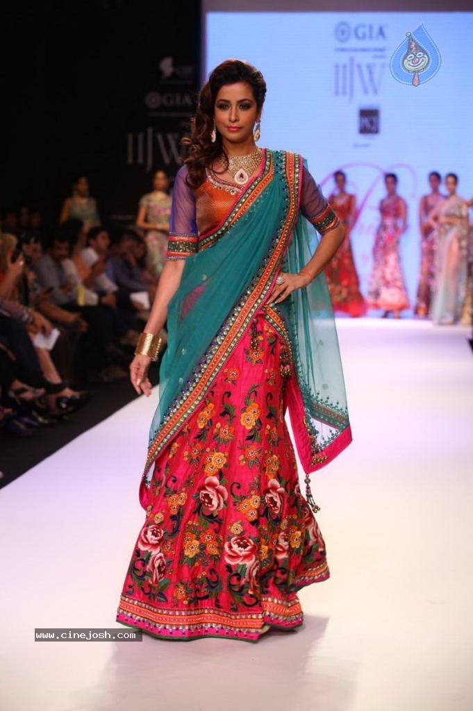 Celebs Walks the Ramp at IIJW 2013 Day 4 - 127 / 129 photos