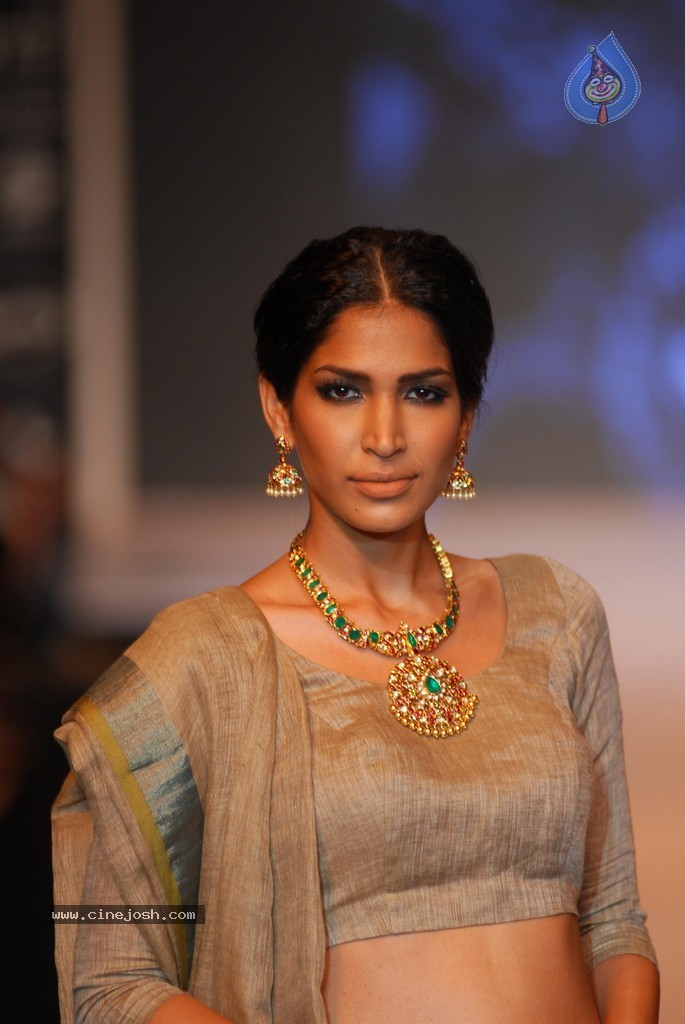 Celebs Walks the Ramp at IIJW 2014 Set 1 - 2 / 235 photos