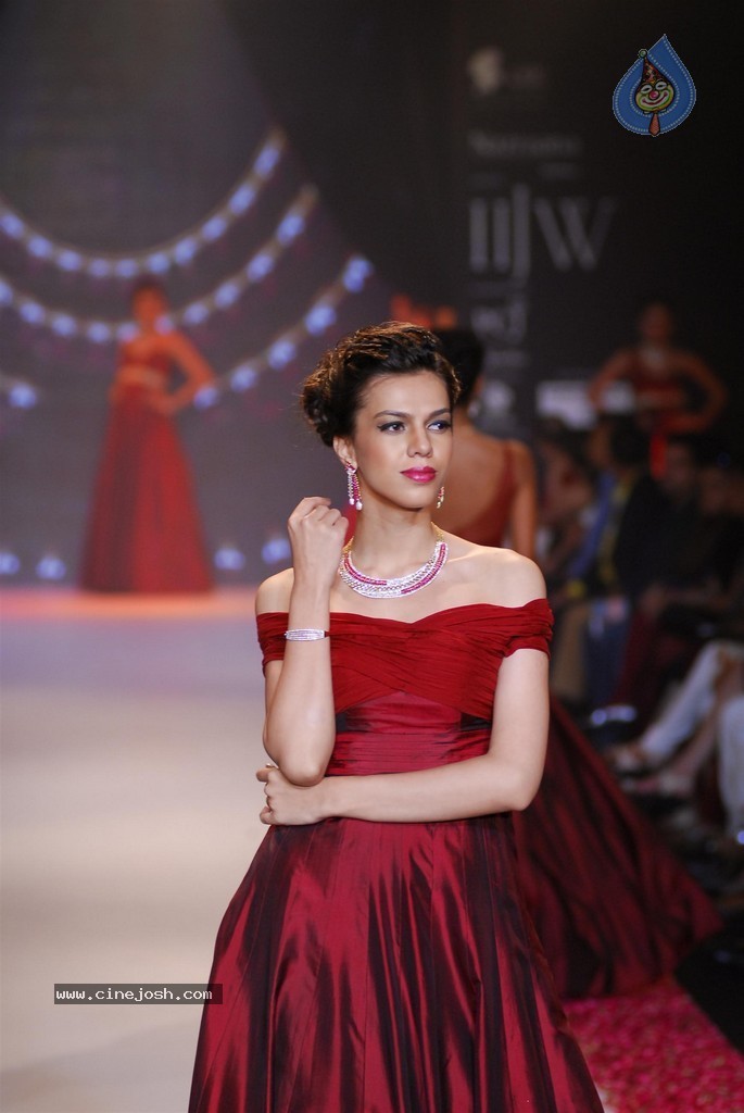 Celebs Walks the Ramp at IIJW 2014 Set 1 - 12 / 235 photos