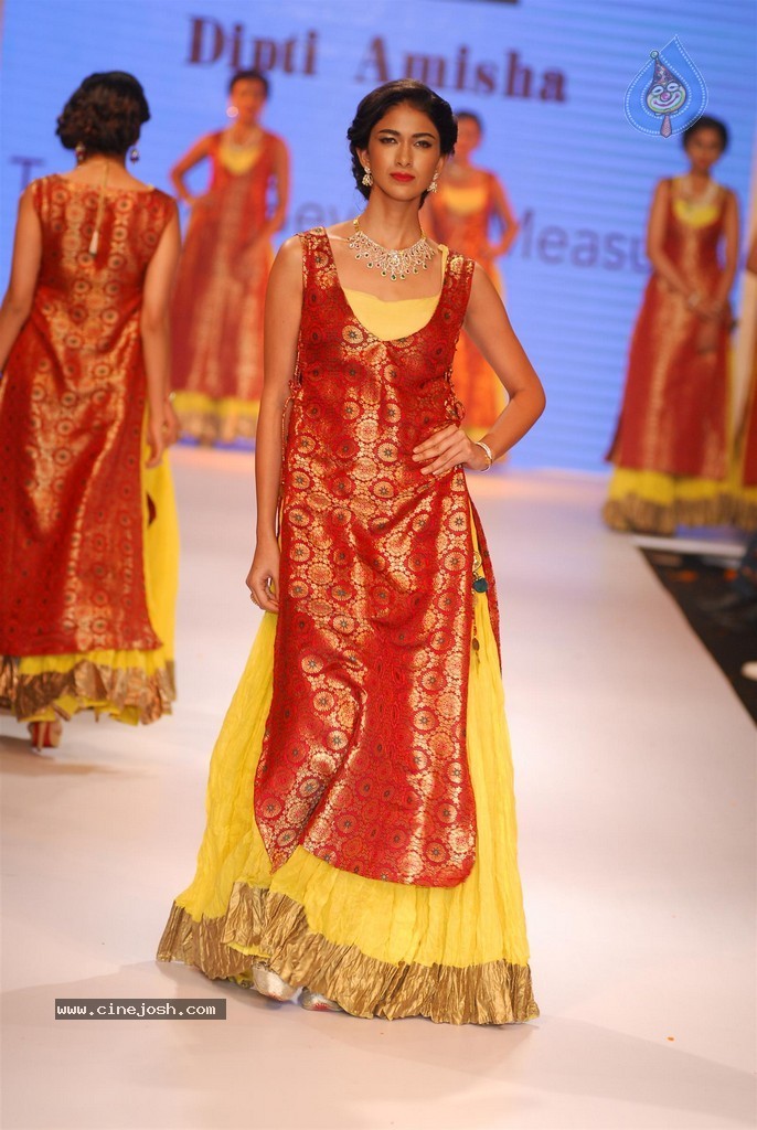 Celebs Walks the Ramp at IIJW 2014 Set 1 - 17 / 235 photos