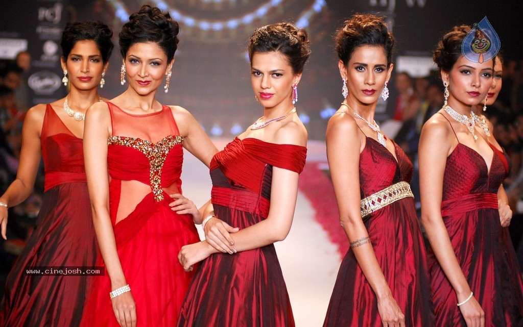 Celebs Walks the Ramp at IIJW 2014 Set 1 - 24 / 235 photos