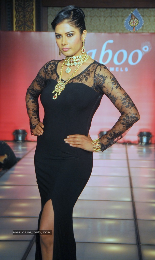 Celebs Walks the Ramp at IIJW 2014 Set 1 - 90 / 235 photos