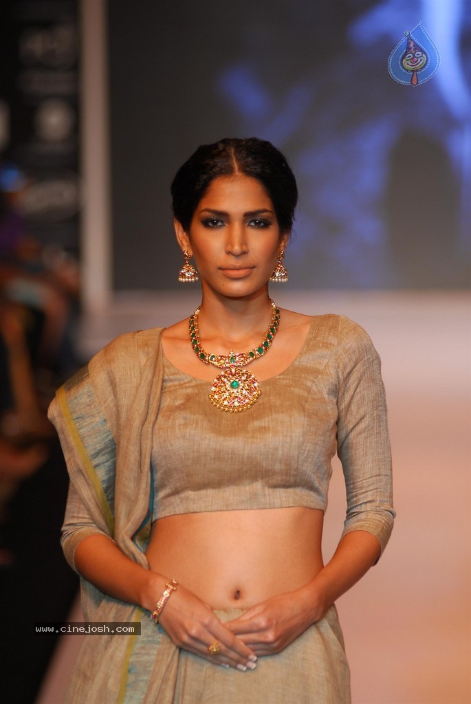 Celebs Walks the Ramp at IIJW 2014 Set 1 - 94 / 235 photos
