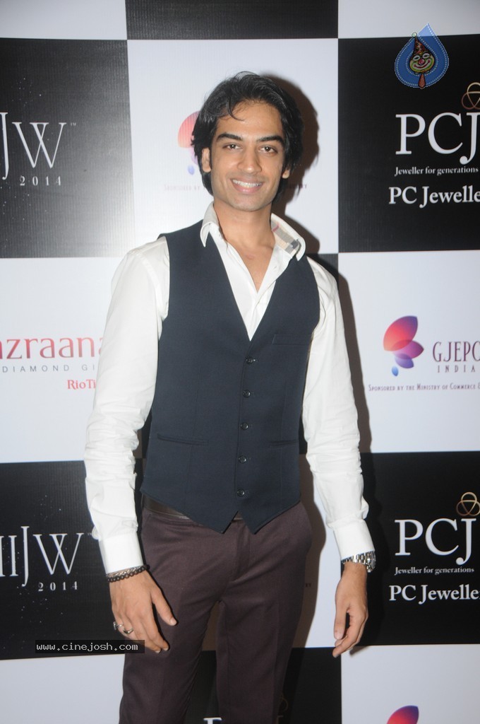 Celebs Walks the Ramp at IIJW 2014 Set 1 - 95 / 235 photos