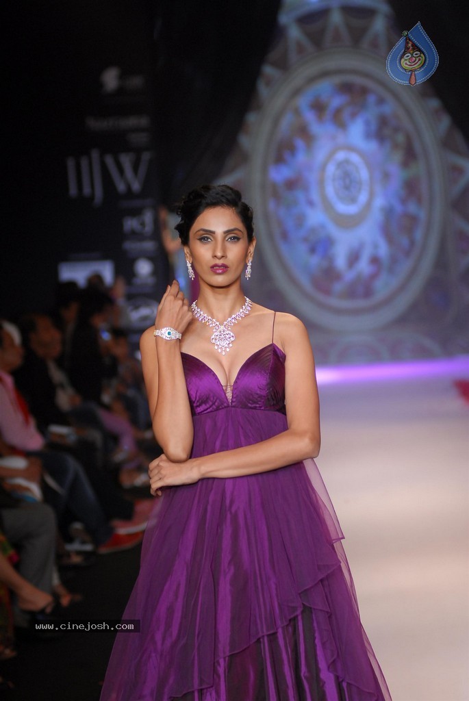 Celebs Walks the Ramp at IIJW 2014 Set 1 - 105 / 235 photos
