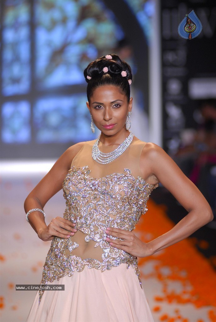 Celebs Walks the Ramp at IIJW 2014 Set 1 - 135 / 235 photos