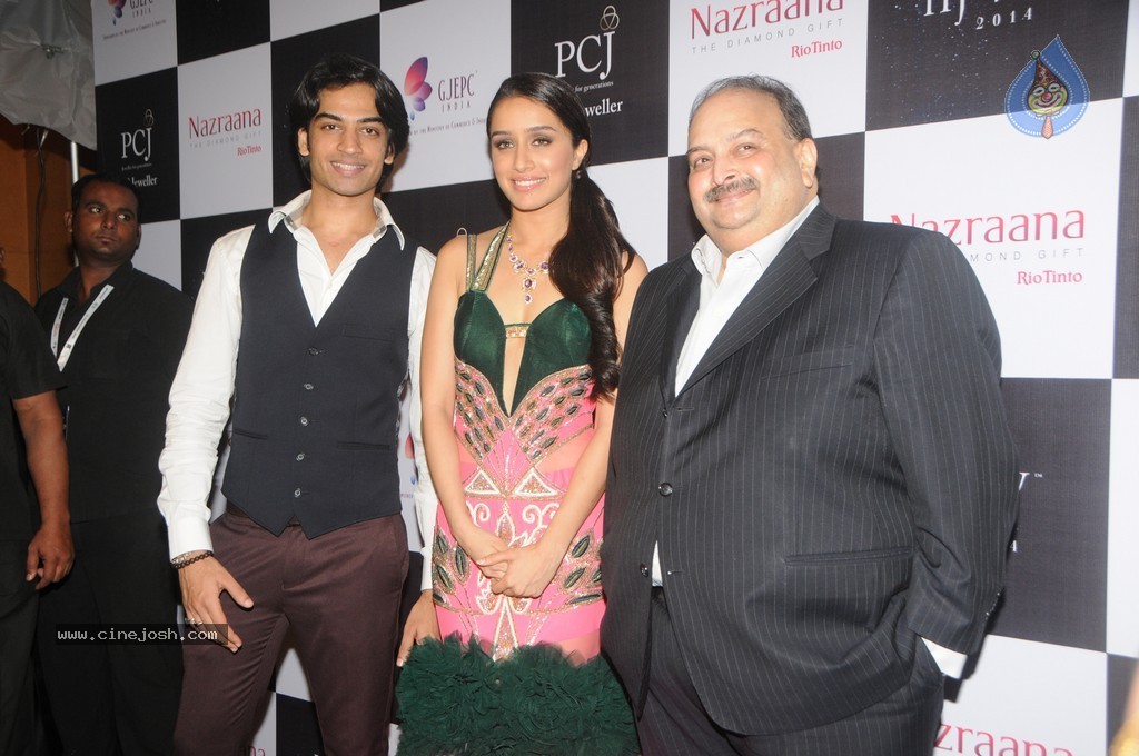 Celebs Walks the Ramp at IIJW 2014 Set 1 - 149 / 235 photos
