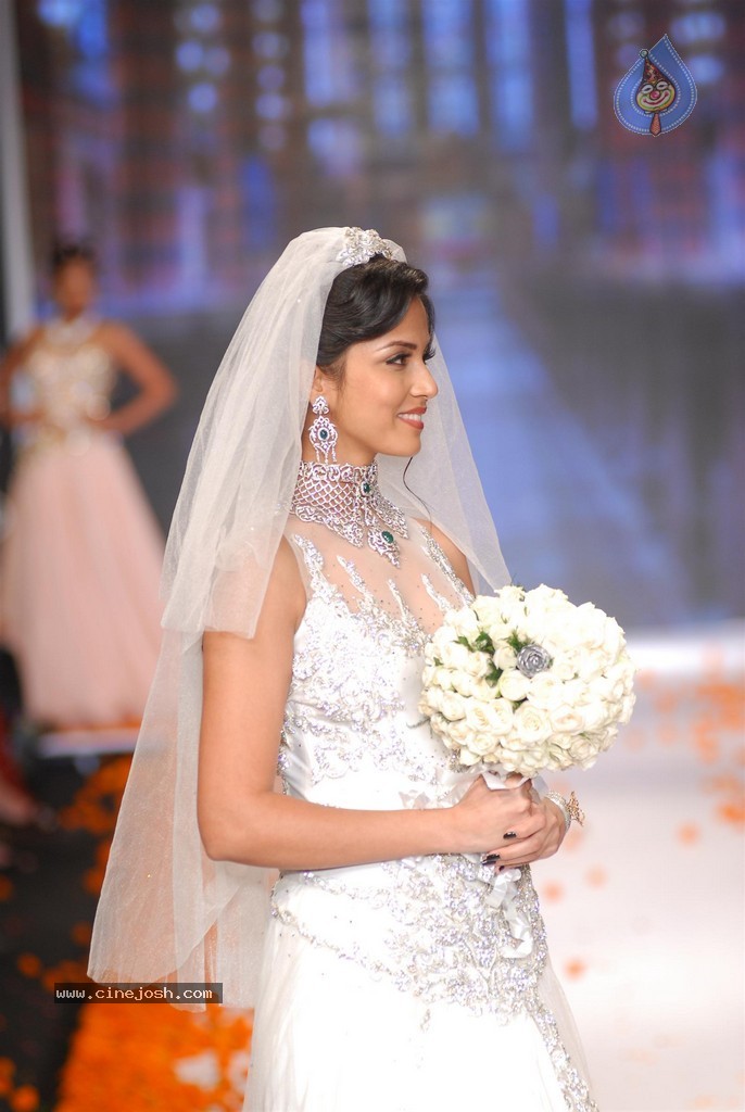 Celebs Walks the Ramp at IIJW 2014 Set 1 - 165 / 235 photos