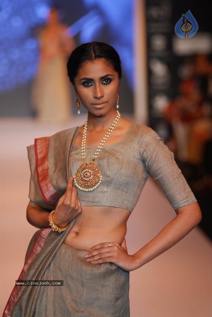Celebs Walks the Ramp at IIJW 2014 Set 1 - 179 / 235 photos