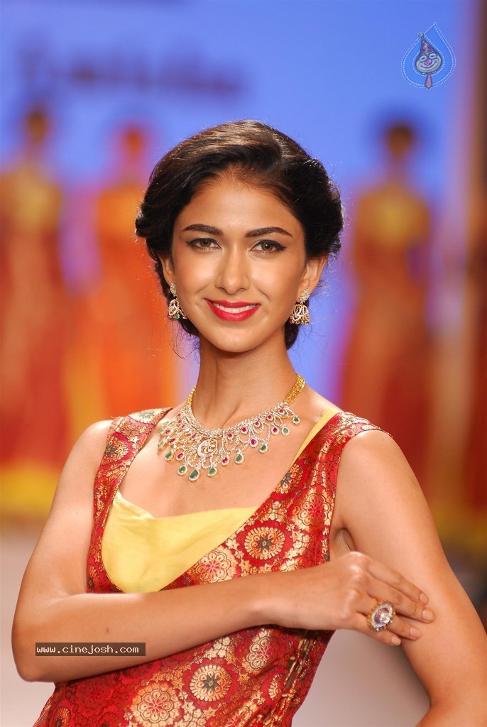 Celebs Walks the Ramp at IIJW 2014 Set 1 - 183 / 235 photos