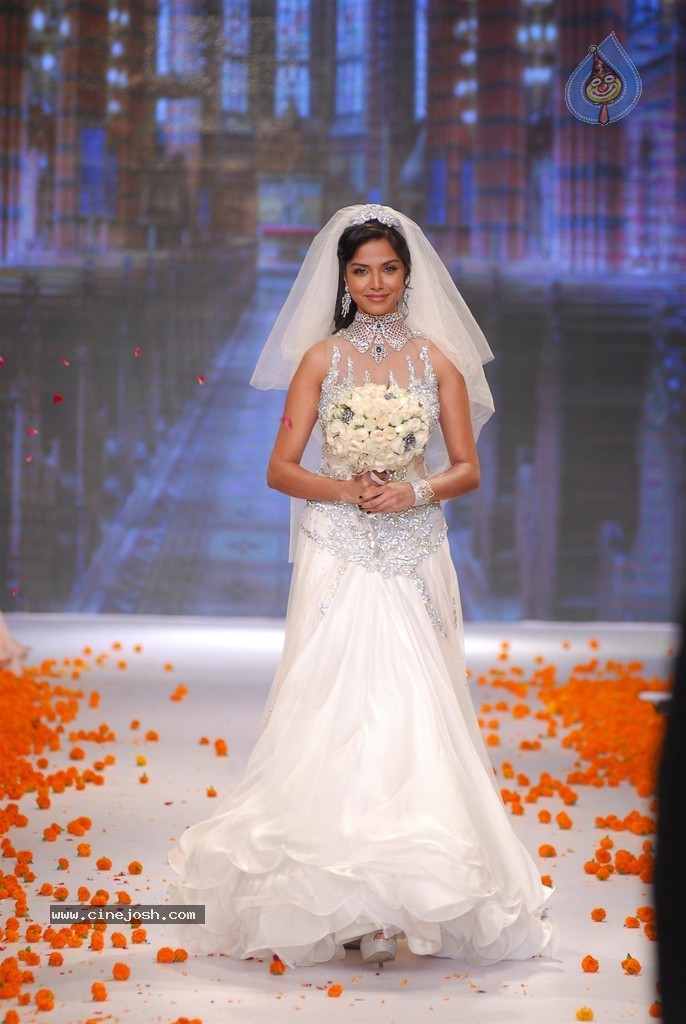 Celebs Walks the Ramp at IIJW 2014 Set 1 - 204 / 235 photos