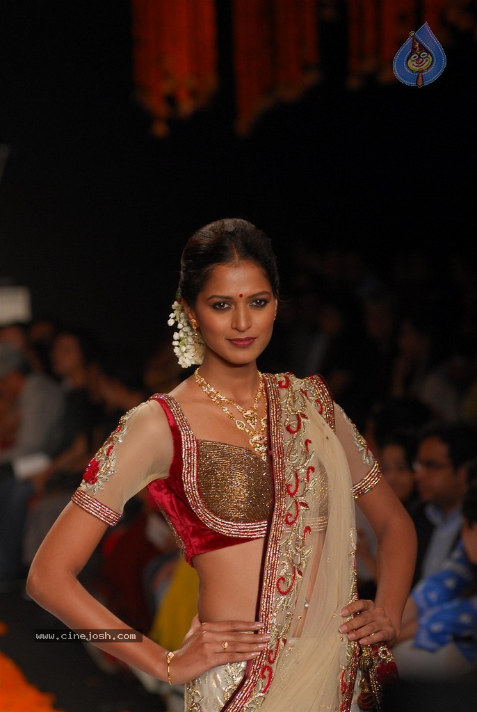 Celebs Walks the Ramp at IIJW 2014 Set 1 - 213 / 235 photos