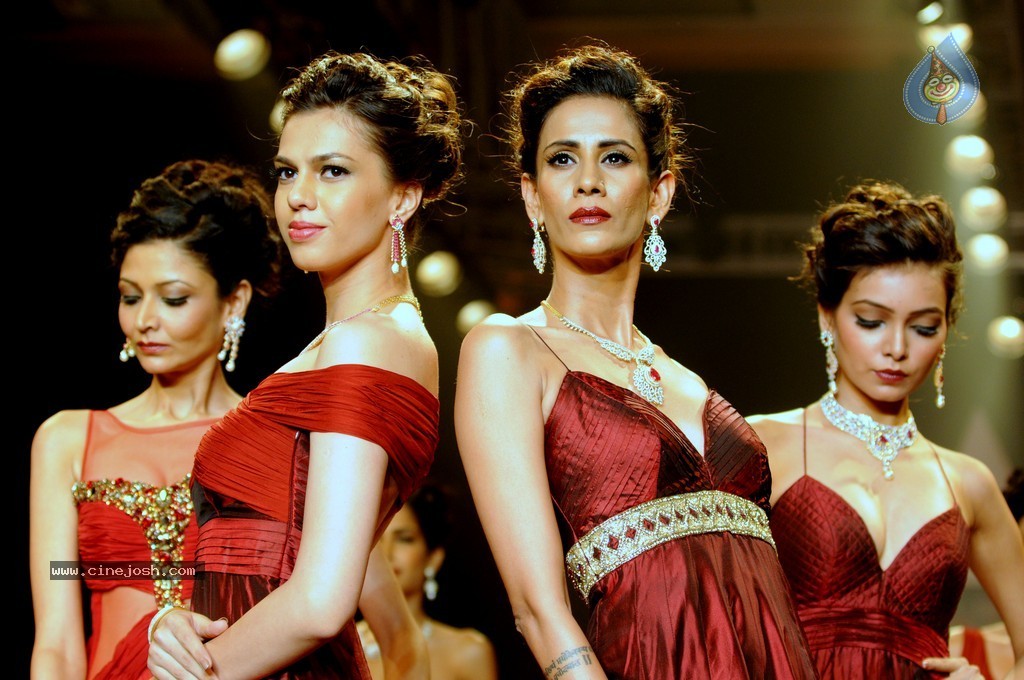 Celebs Walks the Ramp at IIJW 2014 Set 1 - 225 / 235 photos