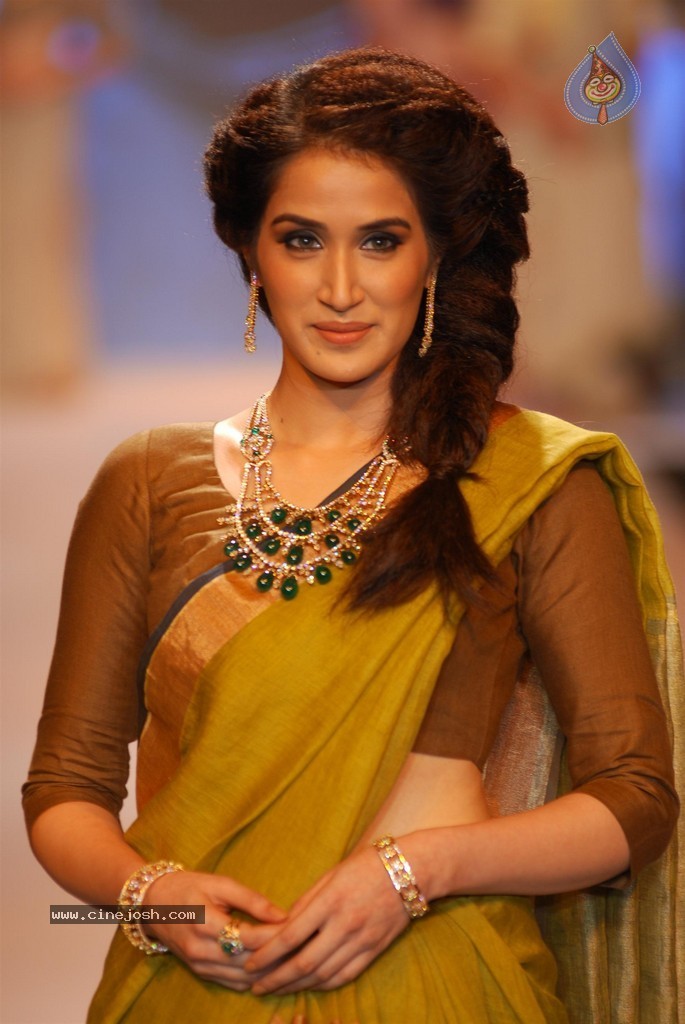Celebs Walks the Ramp at IIJW 2014 Set 2 - 80 / 235 photos