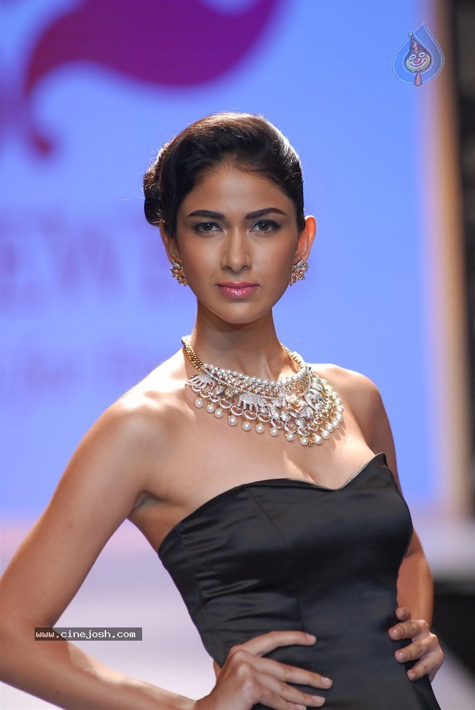 Celebs Walks the Ramp at IIJW 2014 Set 2 - 92 / 235 photos