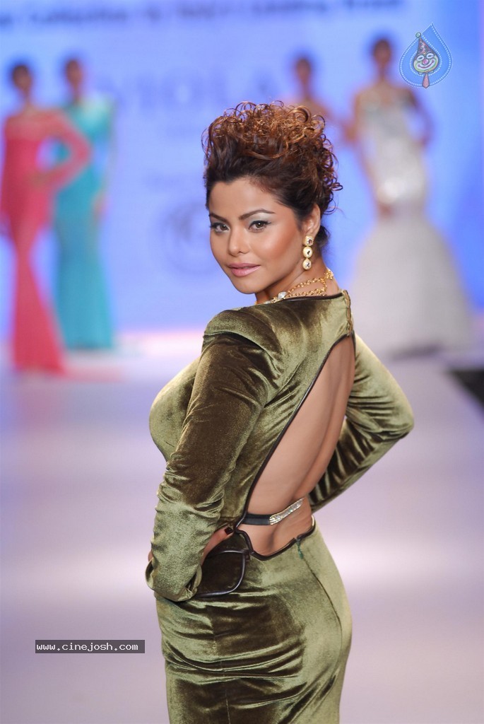 Celebs Walks the Ramp at IIJW 2014 Set 2 - 121 / 235 photos