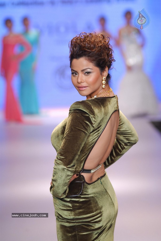 Celebs Walks the Ramp at IIJW 2014 Set 2 - 146 / 235 photos