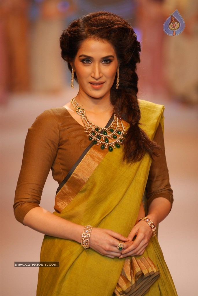 Celebs Walks the Ramp at IIJW 2014 Set 2 - 174 / 235 photos