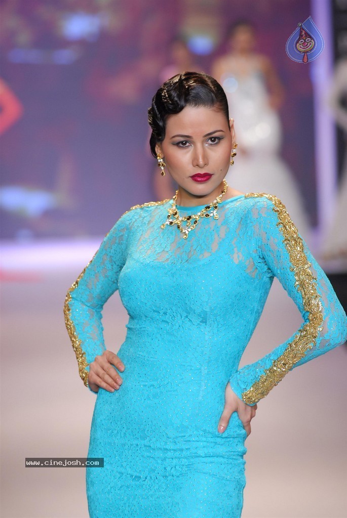 Celebs Walks the Ramp at IIJW 2014 Set 2 - 190 / 235 photos