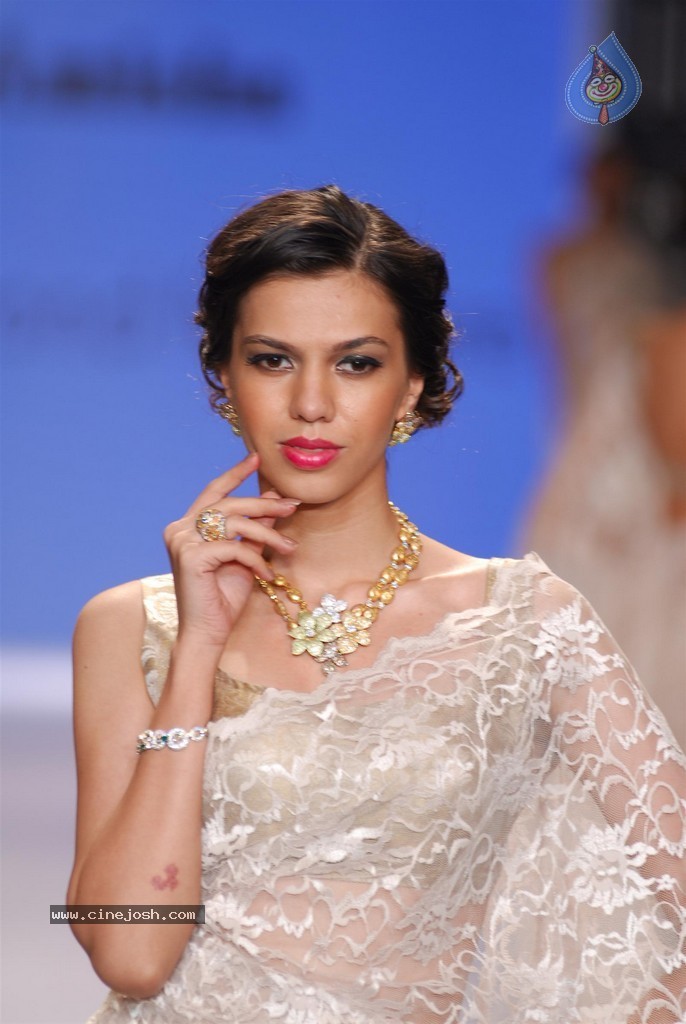 Celebs Walks the Ramp at IIJW 2014 Set 2 - 203 / 235 photos