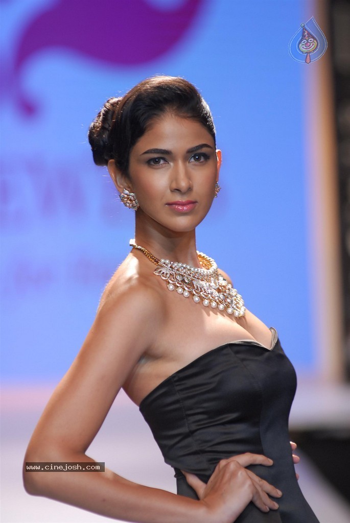 Celebs Walks the Ramp at IIJW 2014 Set 2 - 207 / 235 photos