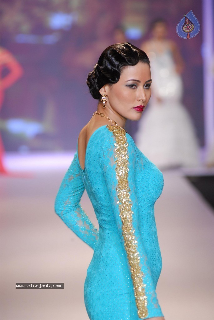 Celebs Walks the Ramp at IIJW 2014 Set 2 - 221 / 235 photos