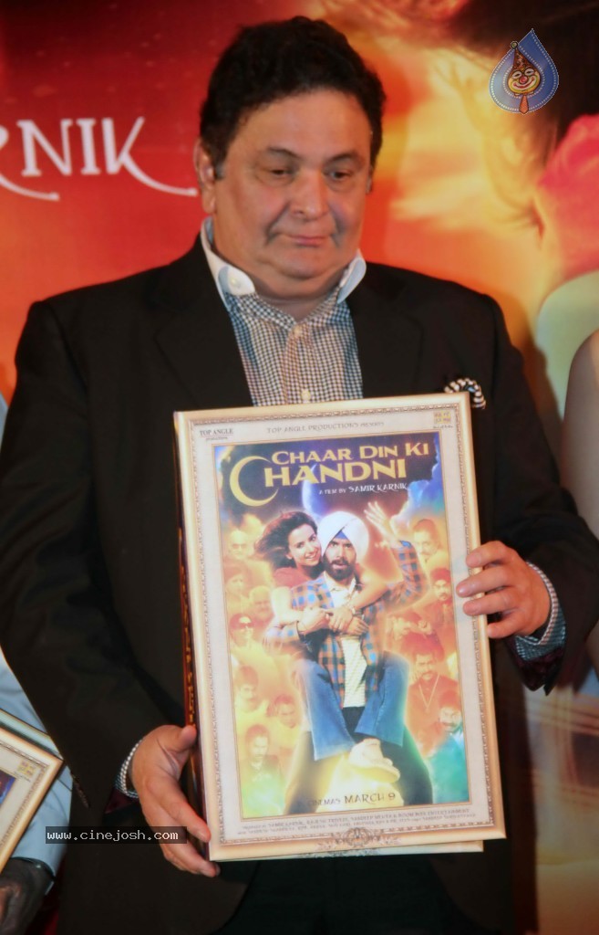 Chaar Din Ki Chandni  Movie Audio Launch  - 20 / 93 photos