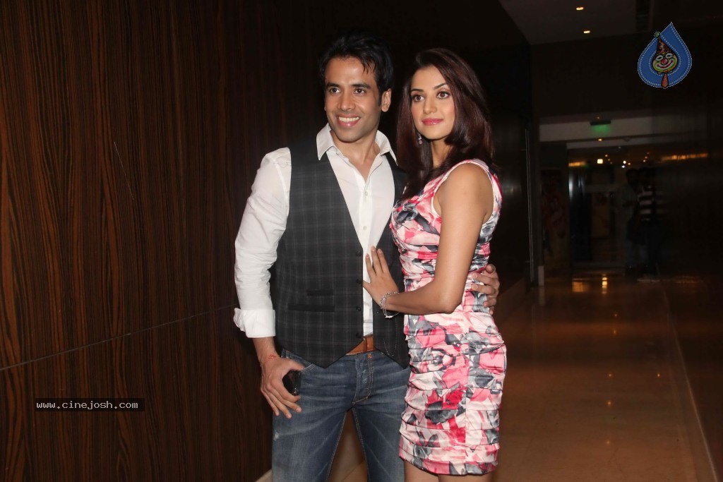 Chaar Din Ki Chandni  Movie Audio Launch  - 25 / 93 photos