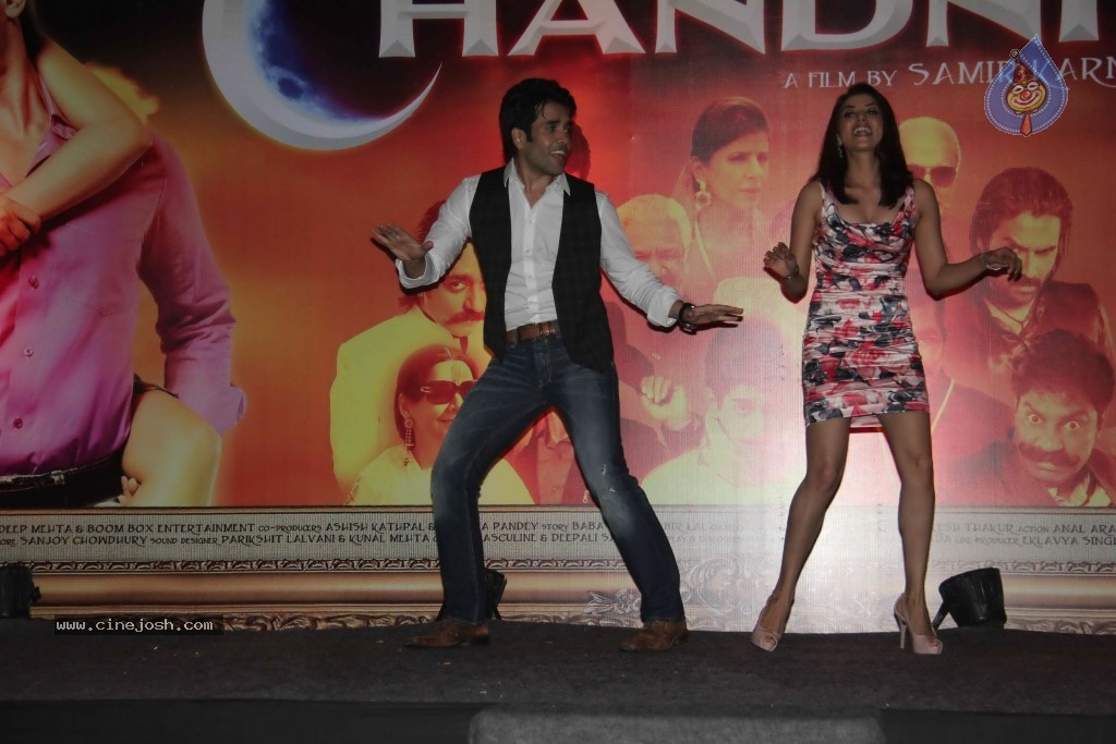 Chaar Din Ki Chandni  Movie Audio Launch  - 40 / 93 photos