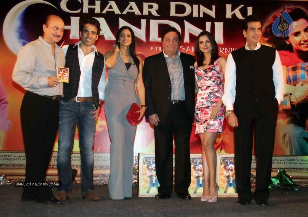 Chaar Din Ki Chandni  Movie Audio Launch  - 93 / 93 photos