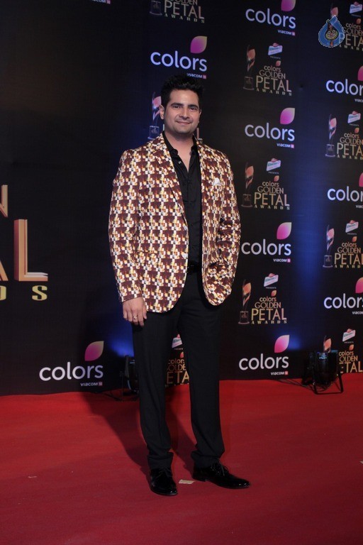 Colors Golden Petal Awards 2017 Red Carpet - 29 / 60 photos