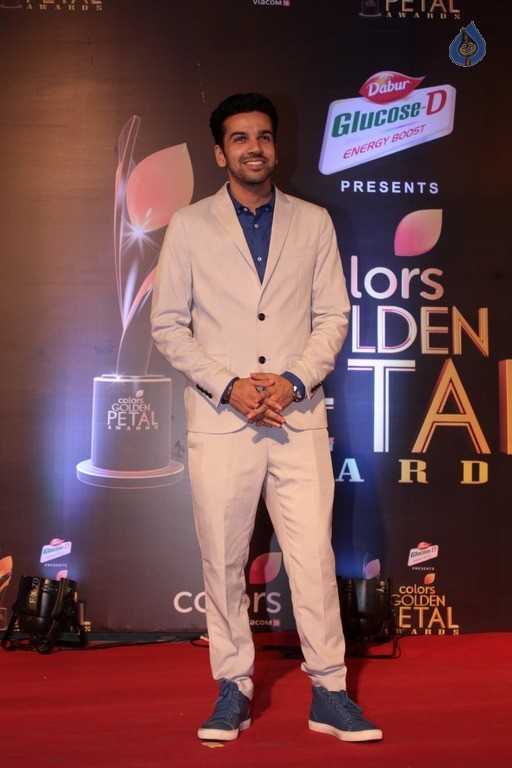 Colors Golden Petal Awards 2017 Red Carpet - 58 / 60 photos
